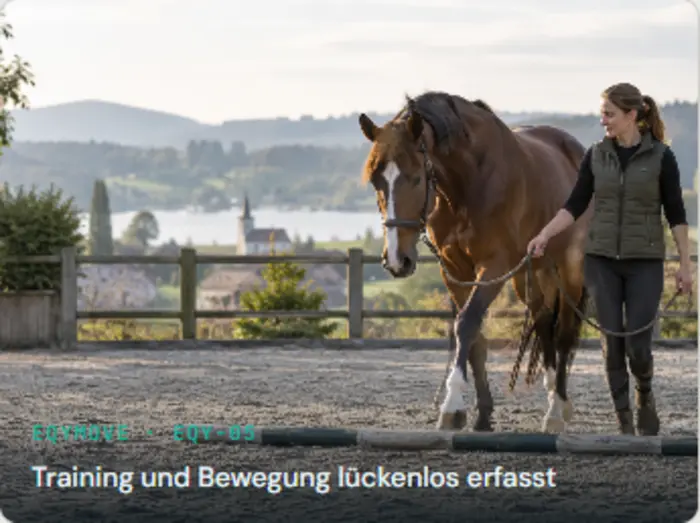 Training und Bewegung lückenlos erfasst